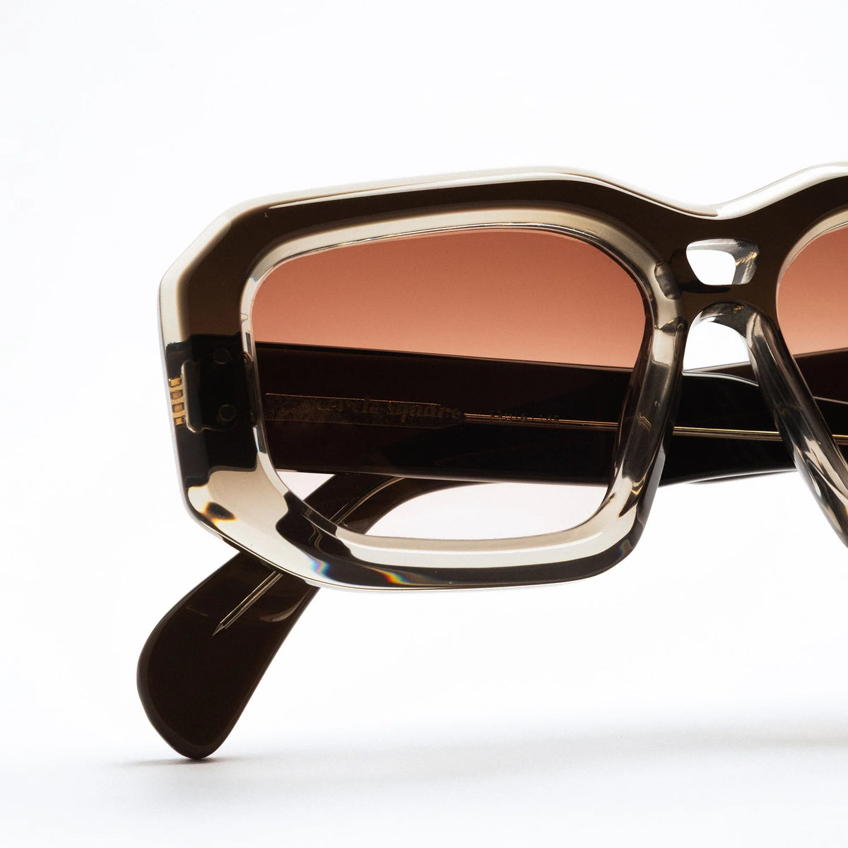 The Ray in Taupe Fade Sunglasses