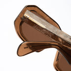 The Ray in Sparkling Bronze Sunglasses