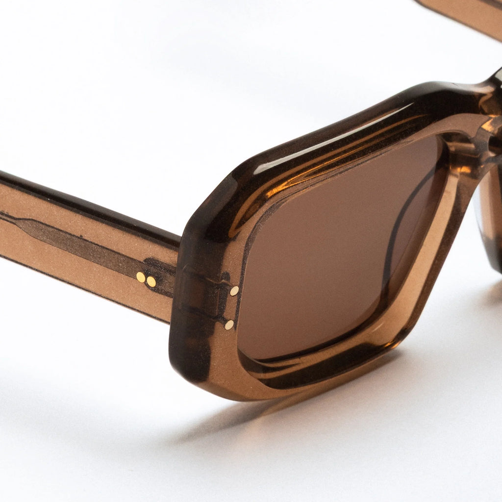 The Ray in Sparkling Bronze Sunglasses