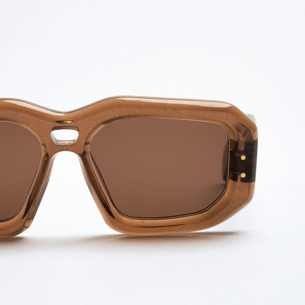 The Ray in Sparkling Bronze Sunglasses